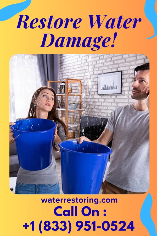 water restoration Ultimate Flood Damage Experts Rowlesburg