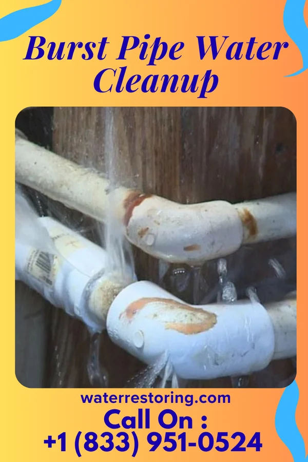 Burst Pipe Water Cleanup in Rowlesburg, WV