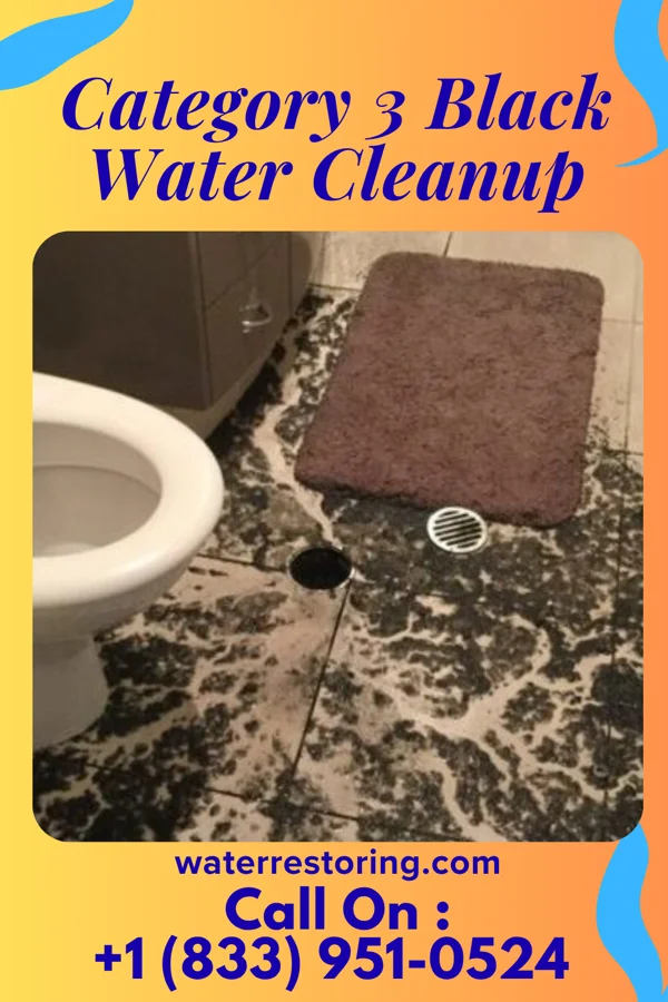 Category 3 Black Water Cleanup in Rowlesburg, WV
