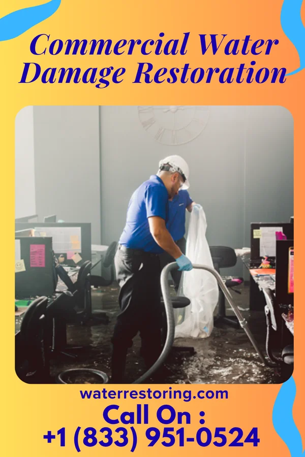 Commercial Water Damage Restoration in Rowlesburg, WV