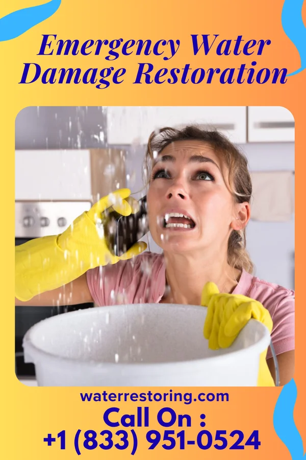 Emergency Water Damage Restoration in Rowlesburg, WV