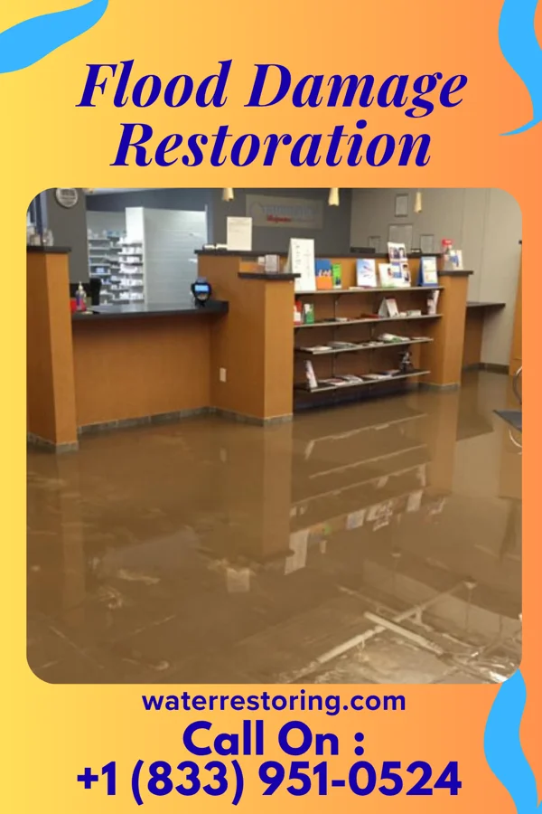 Flood Damage Restoration in Rowlesburg, WV
