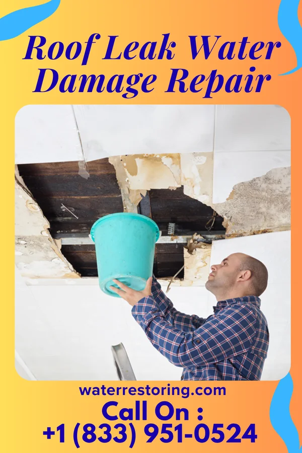 Roof Leak Water Damage Repair in Rowlesburg, WV