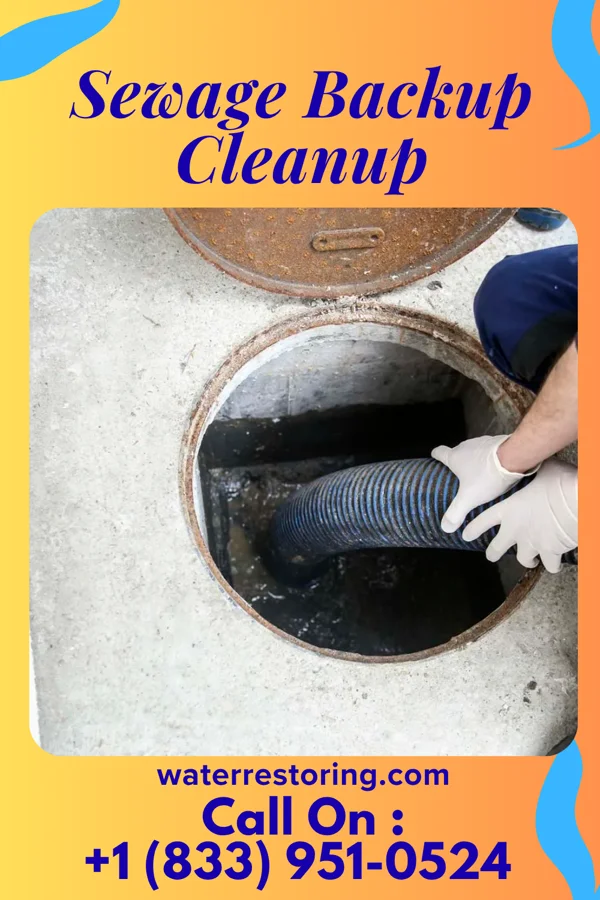 Sewage Backup Cleanup in Rowlesburg, WV