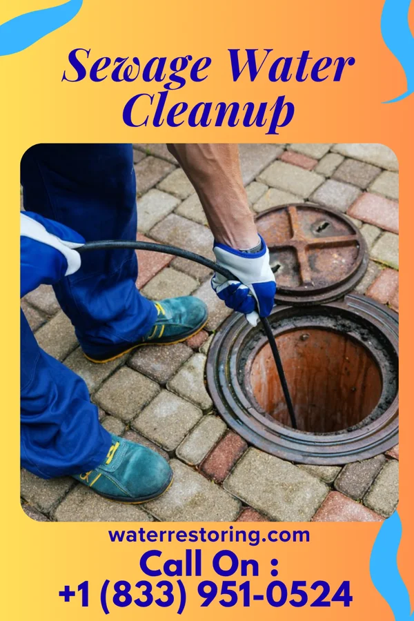Sewage Water Cleanup in Rowlesburg, WV