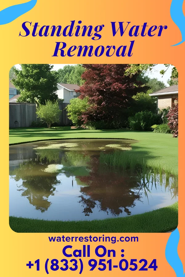 Standing Water Removal in Rowlesburg, WV
